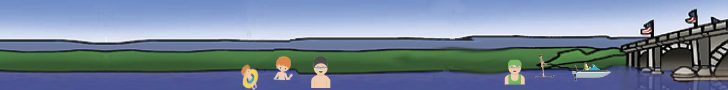 image of people swiming